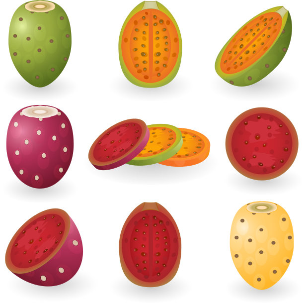 仙人球图片下载