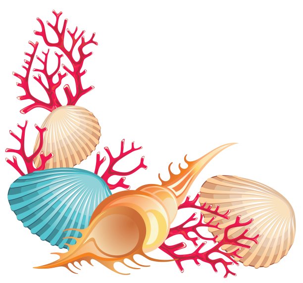 夏天的背景图片下载