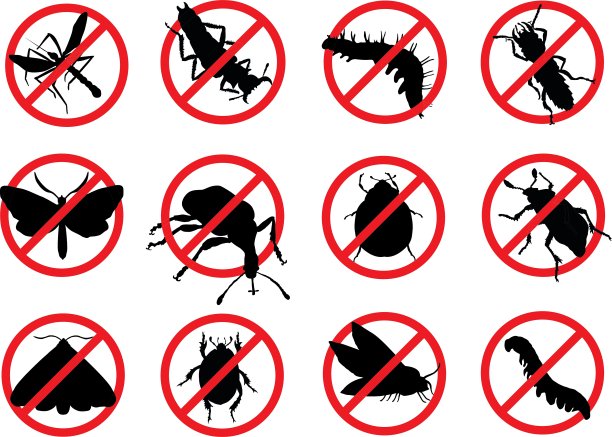 阻止害虫图片下载