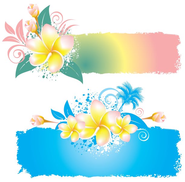 花Plumeria图片下载