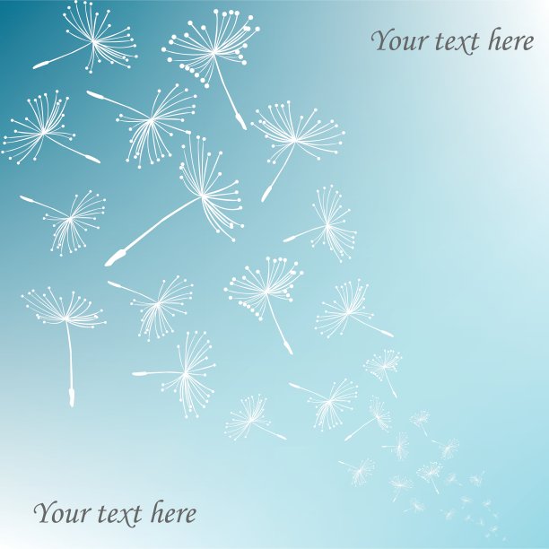 蒲公英的种子图片下载