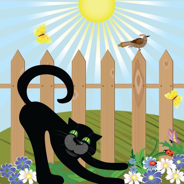 猫和鸟图片下载