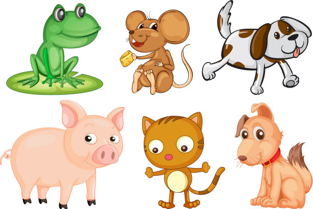 不同种类的陆地动物图片下载