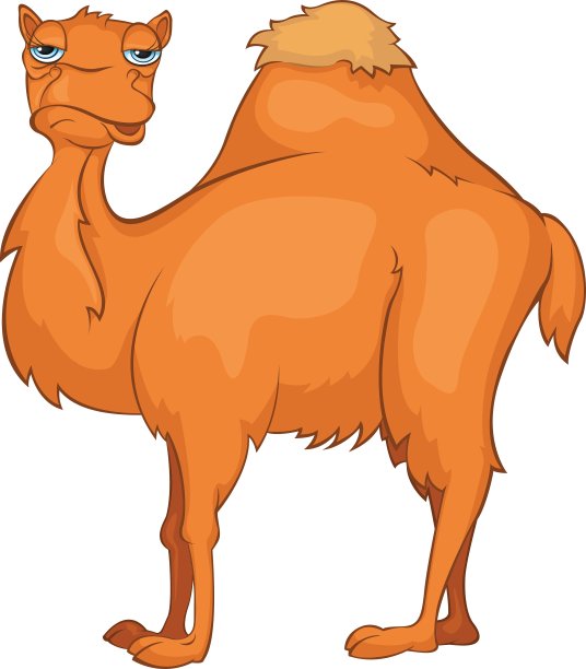 性格骆驼图片下载