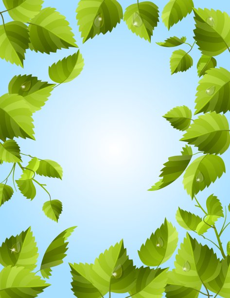 绿叶框架图片下载