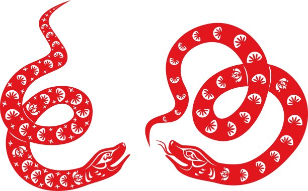 中国蛇素材图片