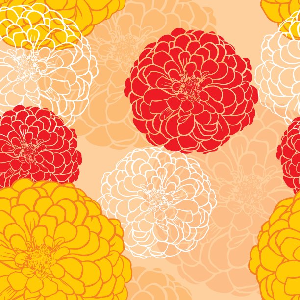 zinnia模式图片下载