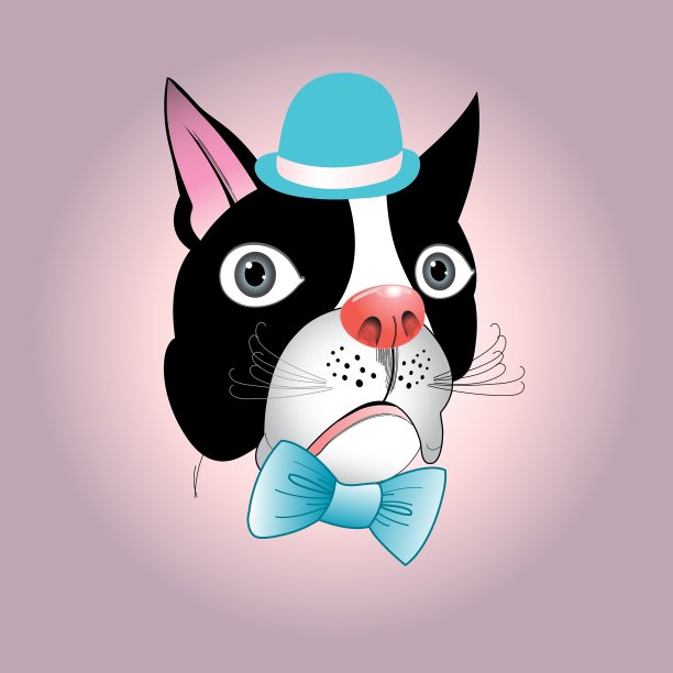 戴着帽子的狗的肖像图片下载