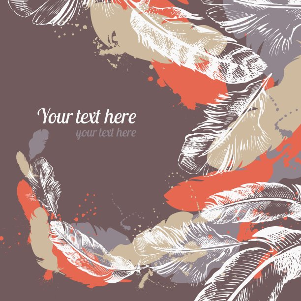 羽毛的背景图片下载