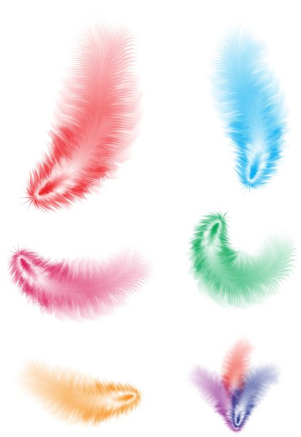 彩色羽毛套装图片下载