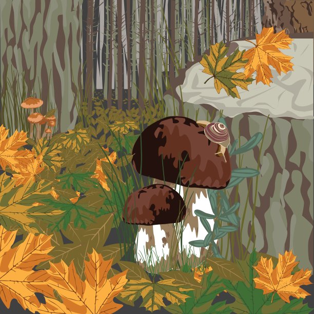 森林蘑菇图片下载