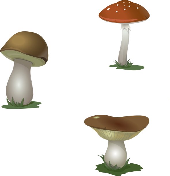 蘑菇集图片下载
