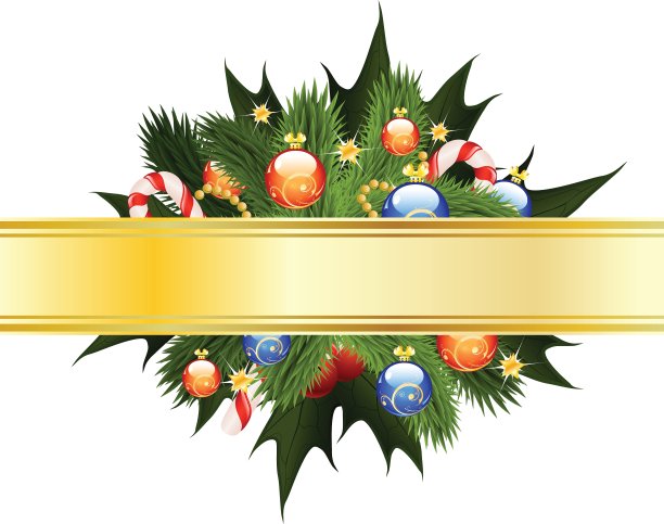 枞树形槲寄生图片下载