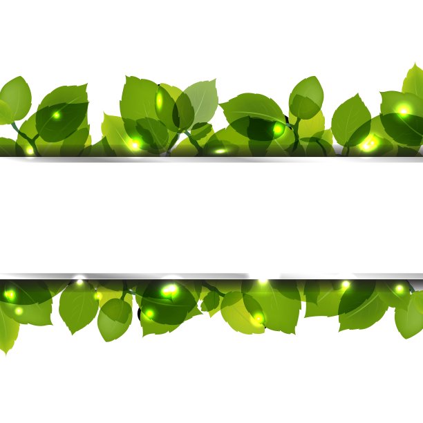 叶子和纸横幅图片下载