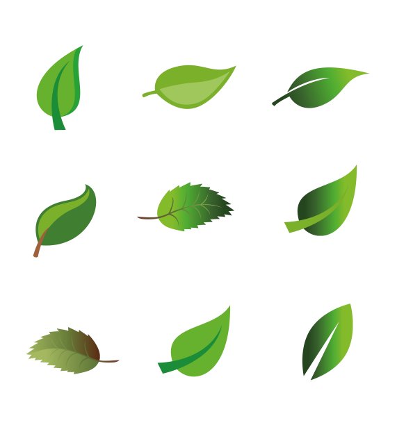 叶图标图片下载