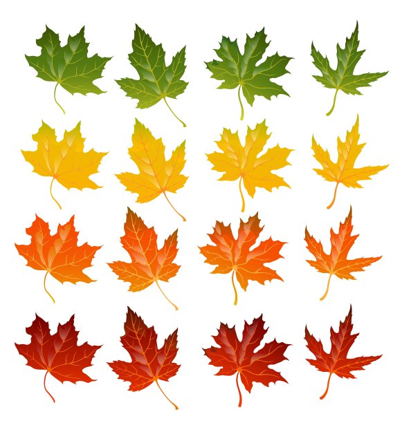 枫叶图标集图片下载