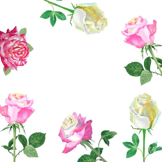 背景红玫瑰-02图片下载