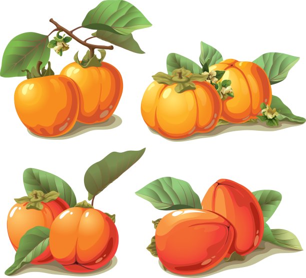 一组熟柿子图片下载