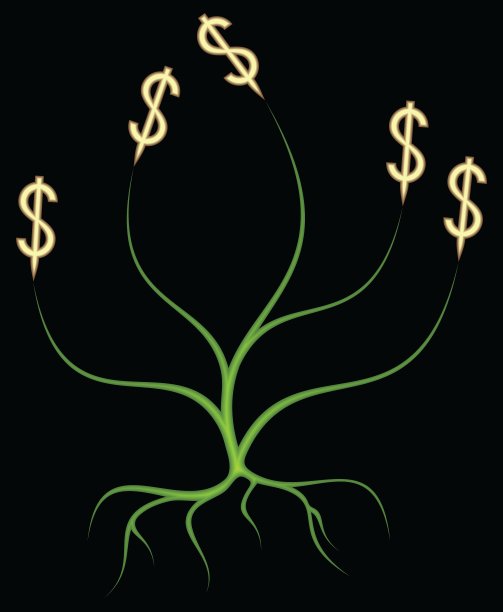 金钱树图片下载