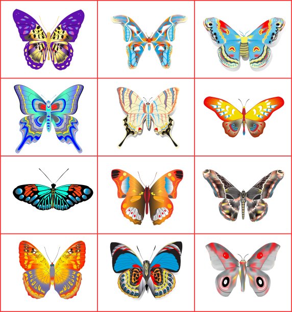 夏日蝴蝶集图片下载