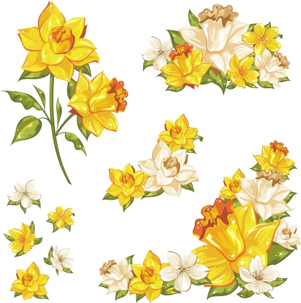 温和的花集花元素孤立图片下载