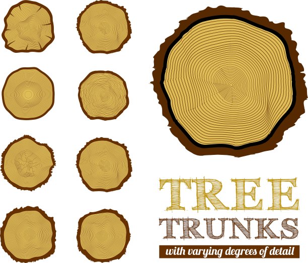 树干的横截面图片下载