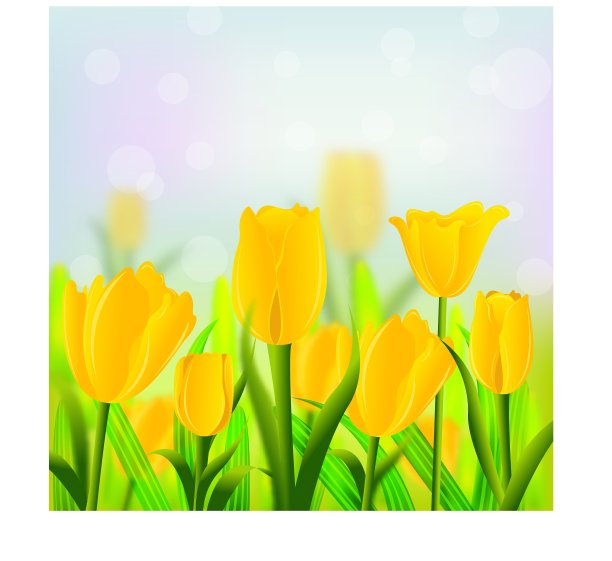 春天的背景图片下载