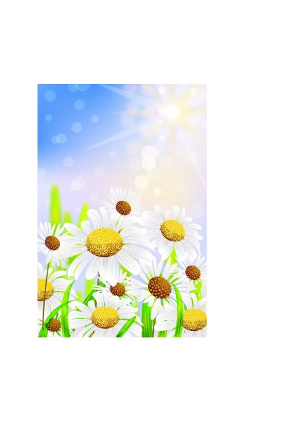 春天的背景图片下载