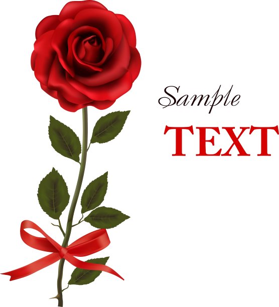 红玫瑰，带蝴蝶结和丝带图片下载