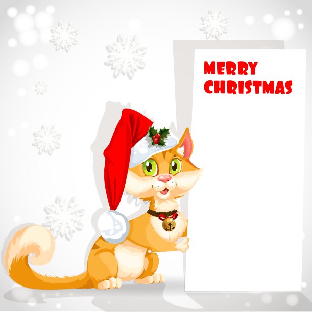 圣诞节圣诞老人的猫图片下载