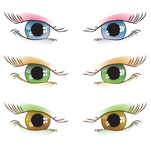 画眼睛图片下载