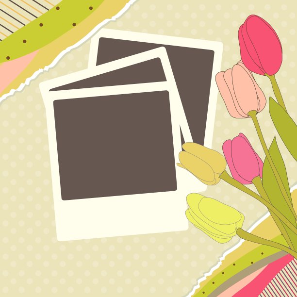 照片和郁金香图片下载