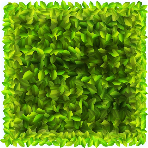 背景与新鲜的绿叶EPS10图片下载