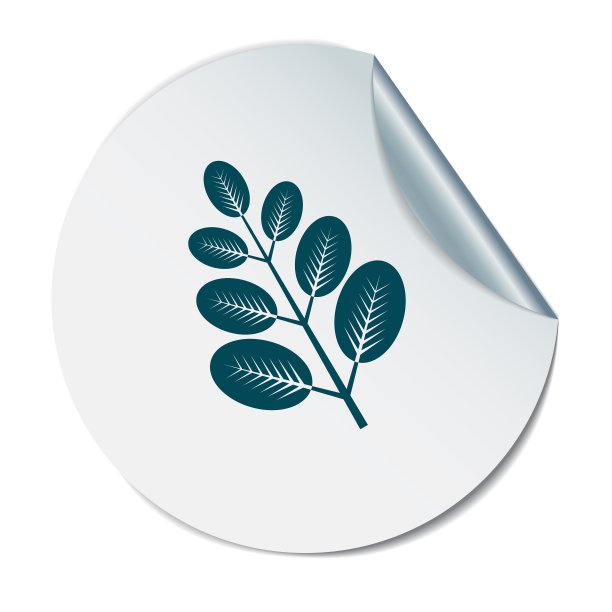 树枝用树叶象征图标几何教学图片下载