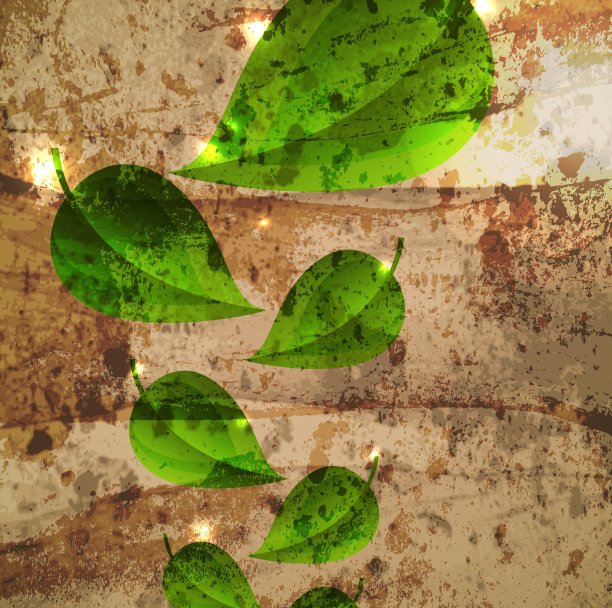 植物的叶子背景图片下载