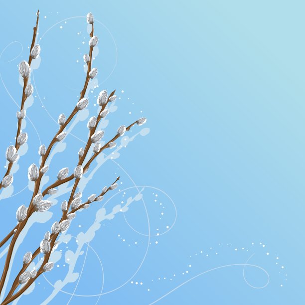 柔和的背景与猫咪柳树图片下载