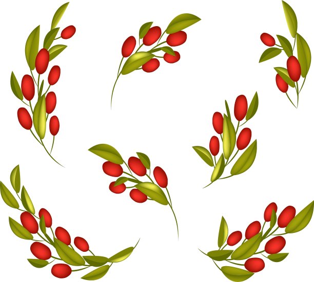 树枝上的一组成熟的红橄榄图片下载