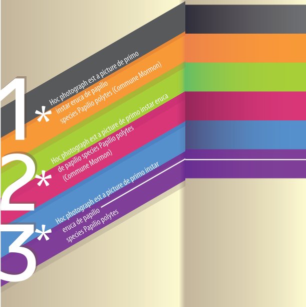 彩色抽象背景的全帧拍摄图片下载