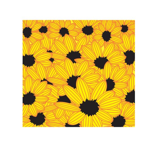 白色背景上黄色花朵的全帧拍摄图片下载