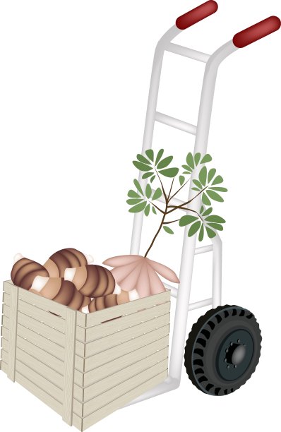 用手推车装新鲜芋头图片下载