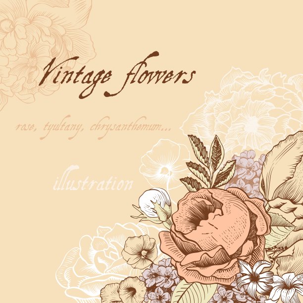 花卉和装饰背景图片下载