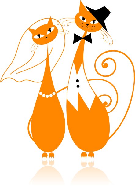 新郎和新娘的猫婚礼为您设计图片下载