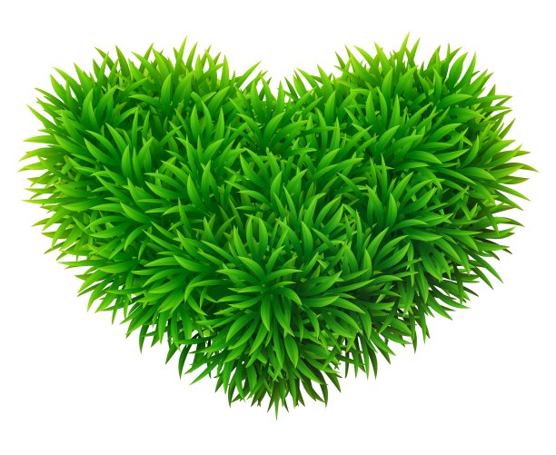 长满草的心图片下载