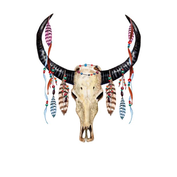 牛头骨羽毛图片下载