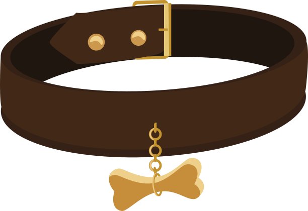 狗项圈图片下载