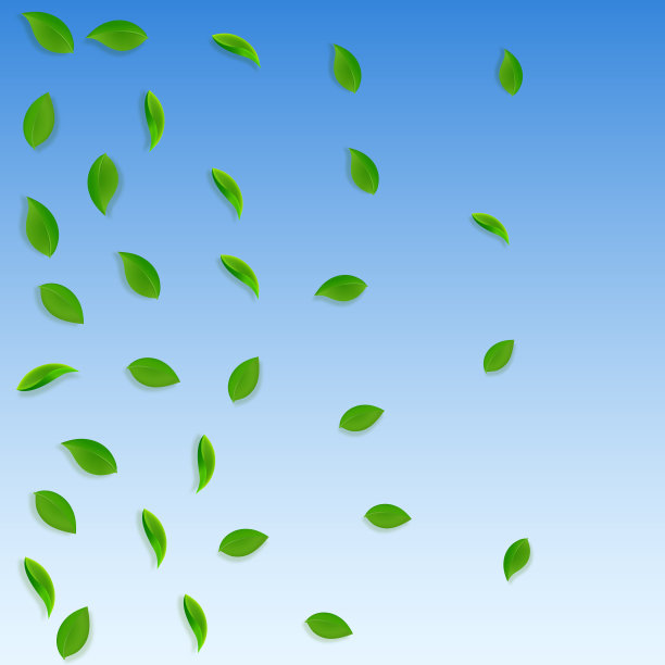 下降的绿叶。茶鲜，叶乱飞图片下载