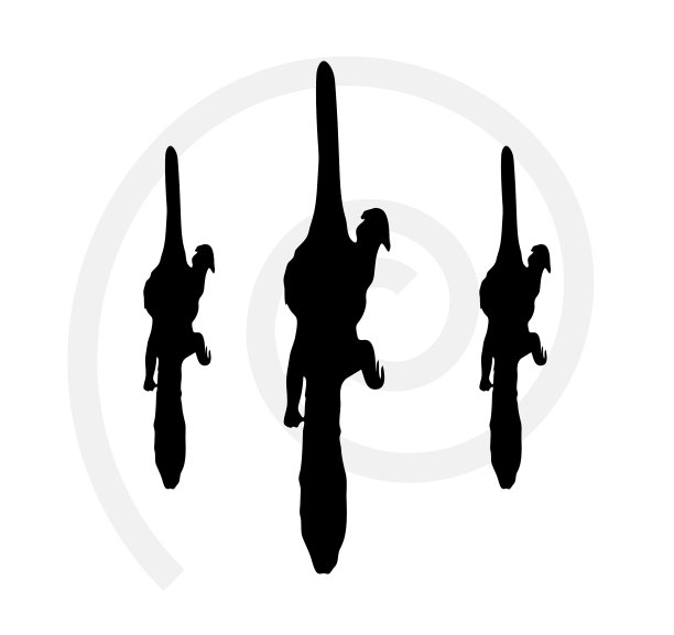 恐龙dilophosaurus图片下载