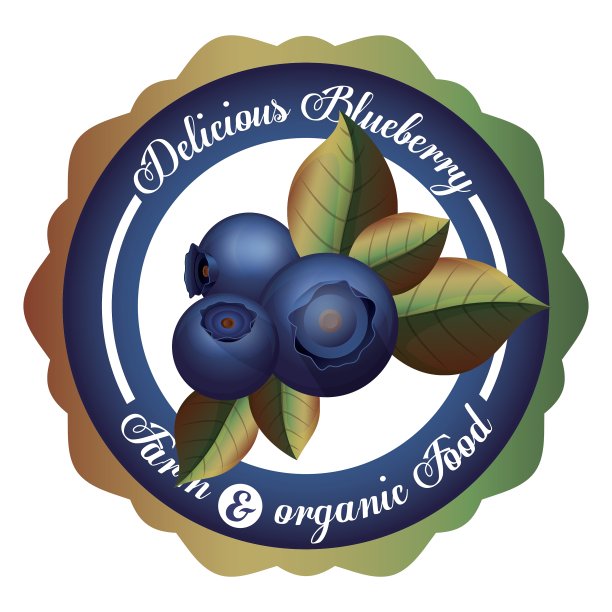 蓝莓设计图片下载