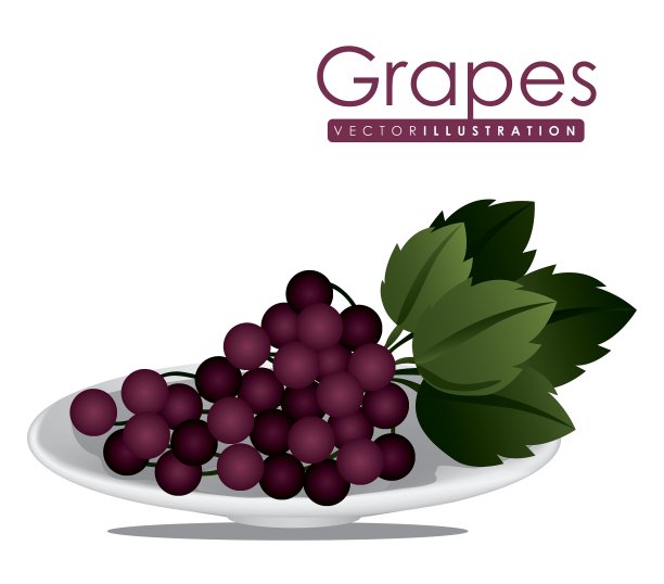 有机食品设计图片下载