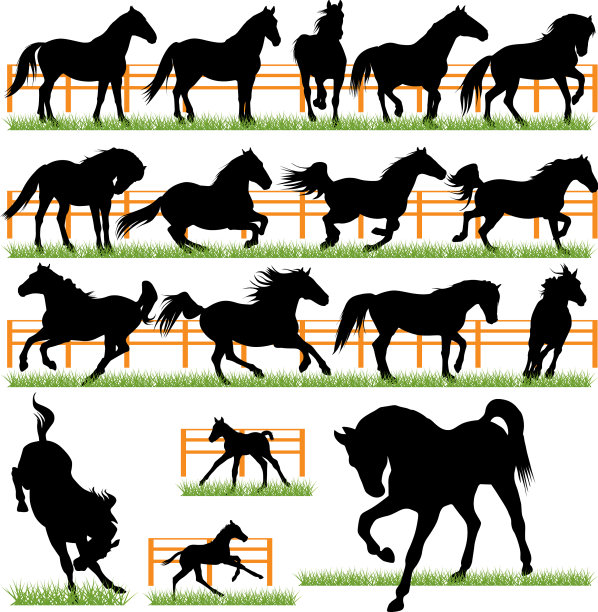 一组17马的剪影图片下载